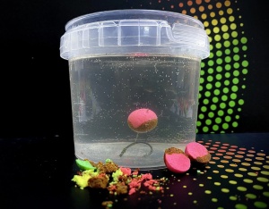 Boilies Double Boom Squid Capsună 15mm MG9592 - Img 2