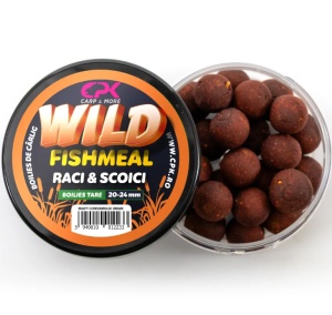 BOLIES CARLIG WILD CARP RACI & SCOICI 20 &amp; 24mm TARI