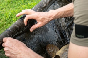 Saltea primire crap Nash Hi-Protect Carp Cradle 100x60x34cm - Img 3