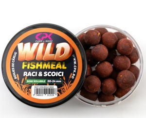 BOLIES CARLIG WILD CARP RACI & SCOICI 20 & 24mm SEMISOLUBILE