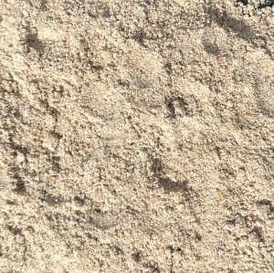 Faina de Alune 5KG