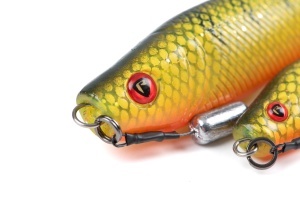 Pro Grub 16cm 6.3" Loaded Natural Perch - Img 2