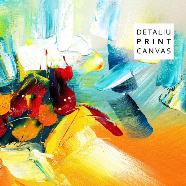 Tablou Canvas Mix Abstract de Rece si Cald CTB36 - Img 3
