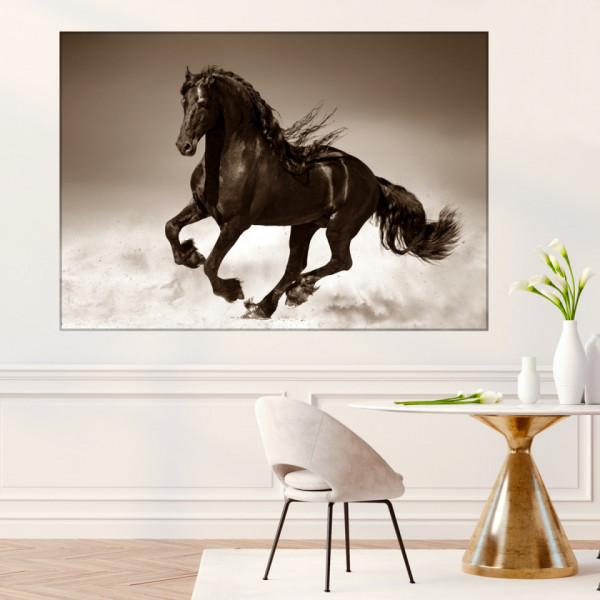 Tablou Canvas Armasar Elegant Sepia HS117 - Img 4