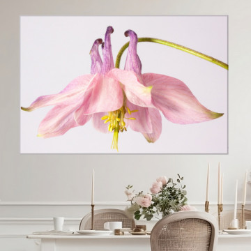 Tablou Canvas Floare Delicata CFB63 - Img 4
