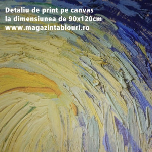 Tablou Van Gogh Noapte Instelata - Img 3
