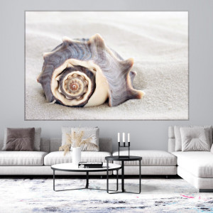 Tablou Canvas Ocean, Cochilie pe Nisip ASCI3