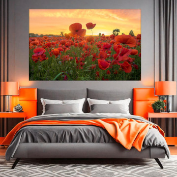 Tablou Canvas Camp cu Maci la Apus RM35