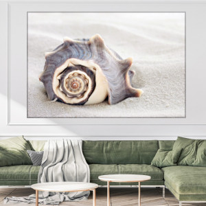 Tablou Canvas Ocean, Cochilie pe Nisip ASCI3 - Img 4