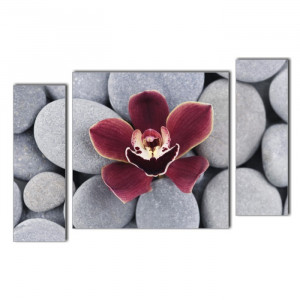 Multicanvas Set 3 Tablouri Orhidee cu Pietre Spa ORST116 - Img 3