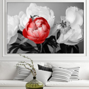 Tablou Canvas Bujor Rosu Printre Flori Albe CFB22 - Img 3