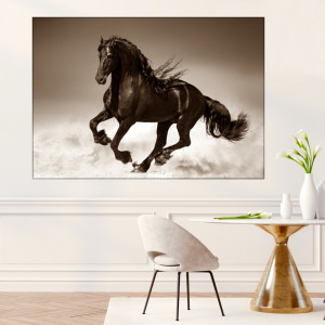 Tablou Canvas Armasar Elegant Sepia HS117 - Img 4