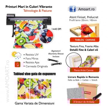 Tablou Canvas Fructe Fresh in Cuburi de Gheata SPF47 - Img 2