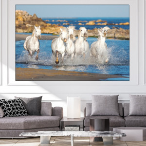Tablou Canvas Armasari Albi in Marea Albastra HS71