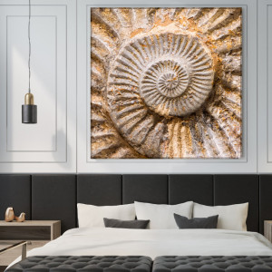 Tablou Canvas Spirala Melc ASCI2 - Img 3