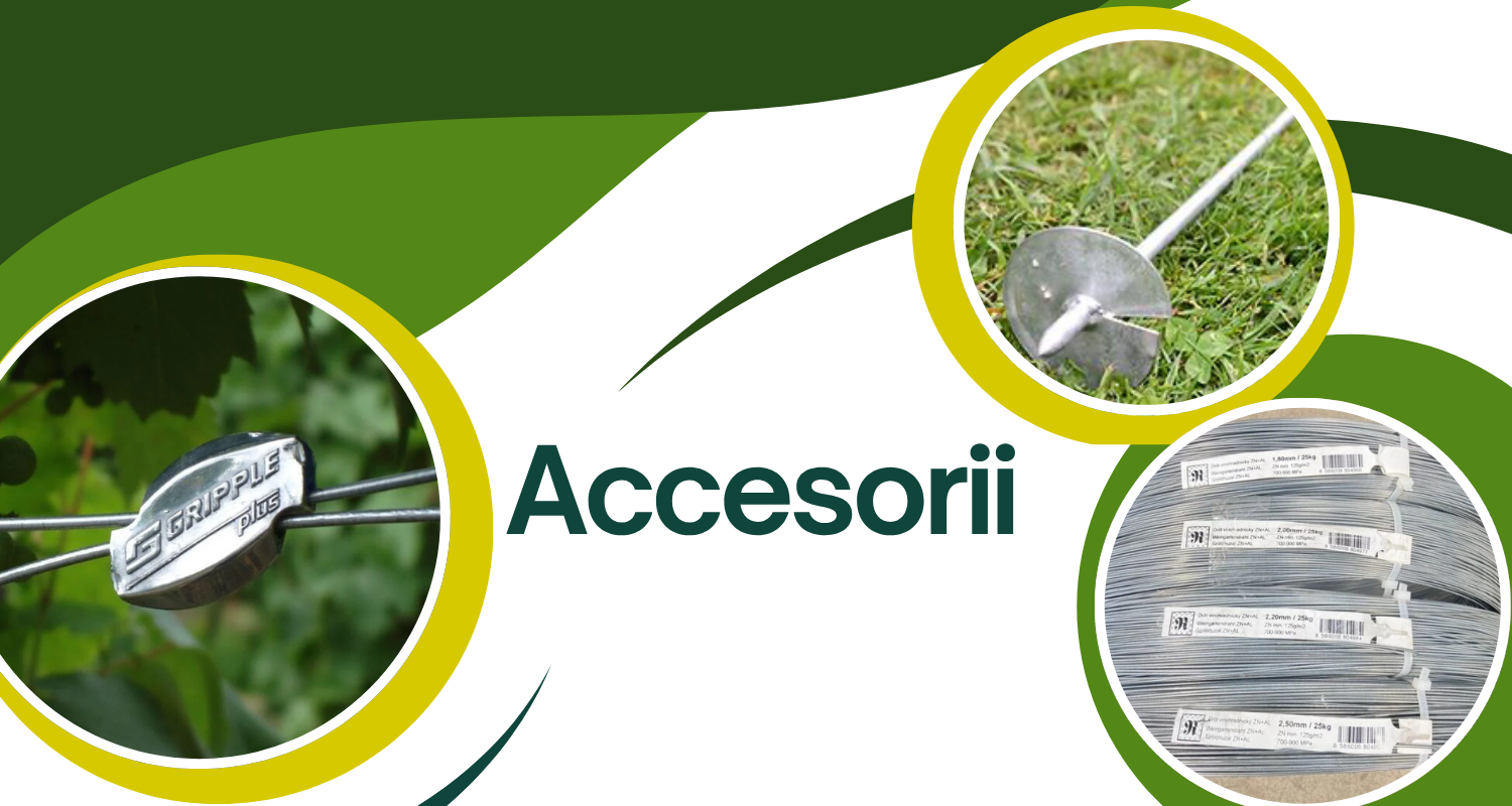 Accesorii