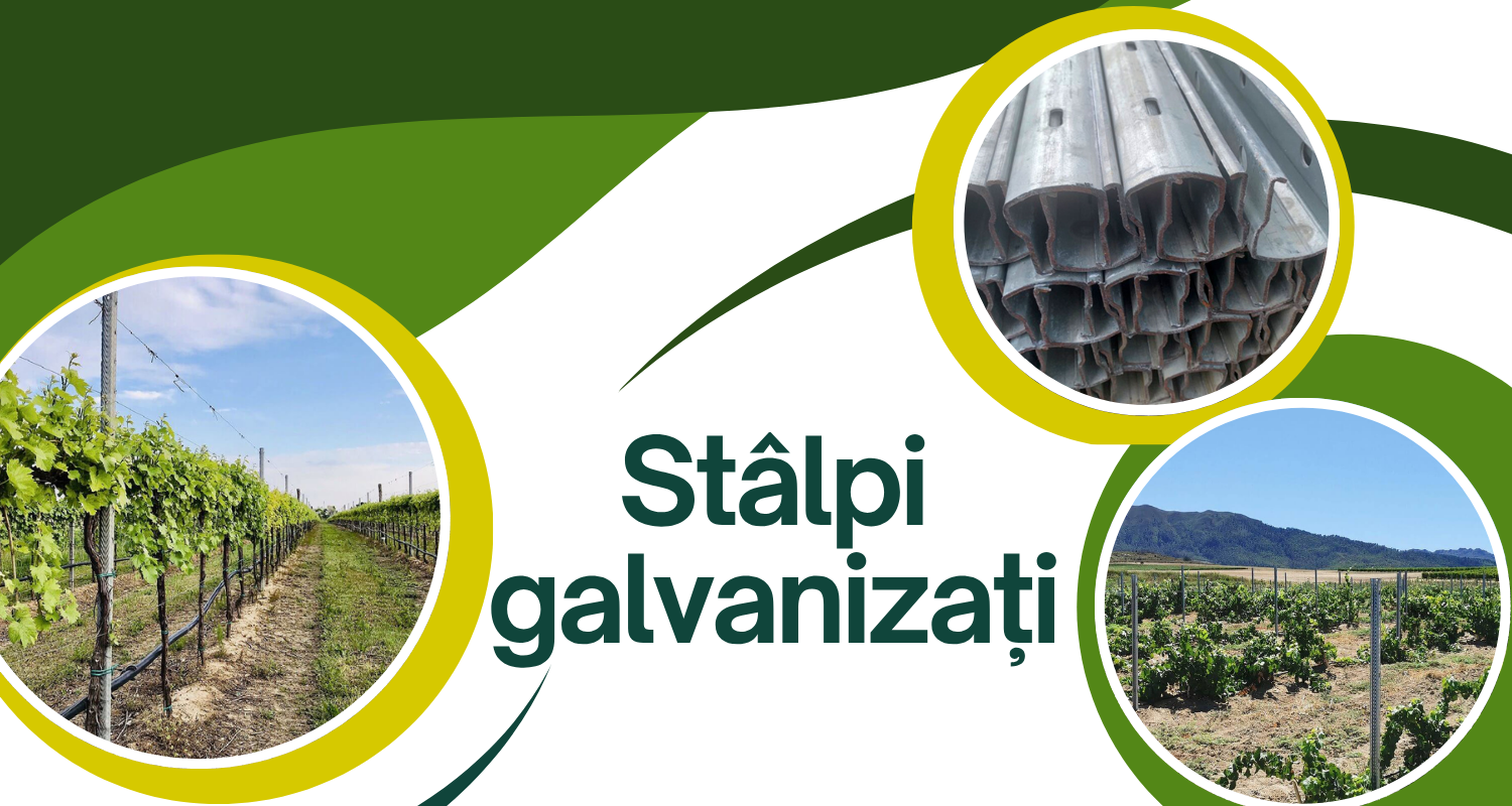 St&acirc;lpi galvanizați