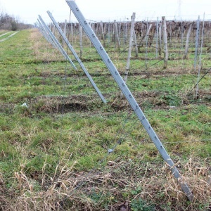 Șpalier de capăt pentru viță de vie/mure/coacăze/zmeură h-270cm