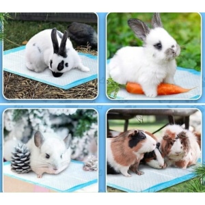 Tampoane de Antrenament pentru Căței 60 x 60 cm ( 40 buc ) - Super Absorbante, Anti-Miros, Rezistente la Apă, pentru Câini, Pisici, Iepuri și Porcușori de Guineea - Img 3