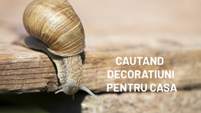6 idei de obiecte Home Decor care vor da casei tale mai multa personalitate