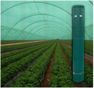 Plasa umbrire verde HDPV UV" Densitate 80# - 20M LUNGIME, 1.7 inaltime