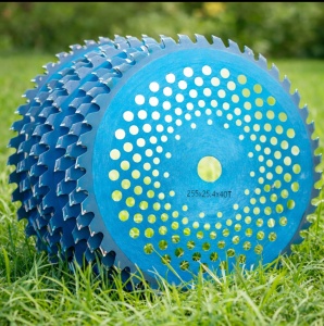 Set 10 X Disc motocoasa vidia Blue 255x25,4x40T