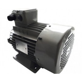 Motoare electrice