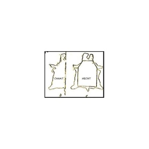 Canat piele tabacit vegetal 3.5 -4 mm grosime - Img 7