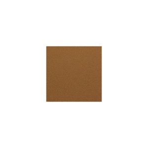 Foaie de KYDEX COYOTE BROWN - 2.36mm grosime - Img 5