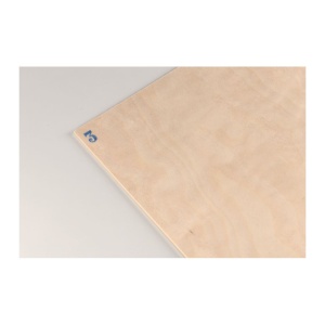 Placaj mesteacan, 40x30 cm, 3mm grosime.
