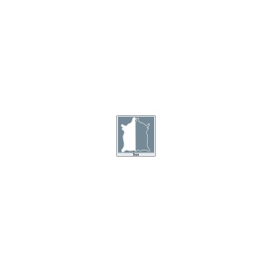 Canat piele tabacit vegetal 2-2.5mm grosime - Img 2