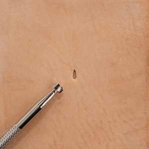 Stanta pielarie, Tandy Leather