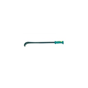 133 Cosor tip ciuperca, Rinaldi - Img 2