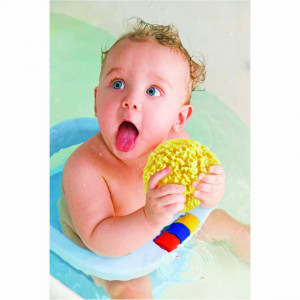 Burete natural pentru bebelusi BabyJem Sea Sponge - Img 3