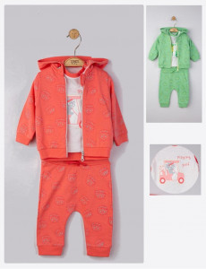 Set 3 piese: pantaloni, tricou si hanorac pentru bebelusi, Tongs baby - Img 1