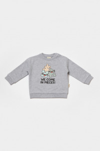 Set hanorac si pantaloni, Two thread, 100%bumbac organic - Gri, BabyCosy
