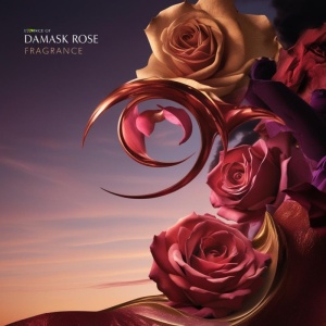 Parfum Damask Rose pentru wax melts și difuzoare – trandafir de Damasc, certificat IFRA, Made in UK