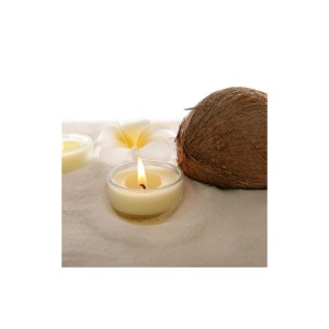 Ceara de Cocos Kerawax Coconut Container 4135 - Img 3