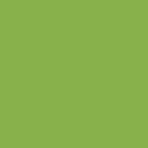 Colorant Lumânări Bekro Pistacchio 16424-70-6, Fulgi Concentrați pentru Ceară