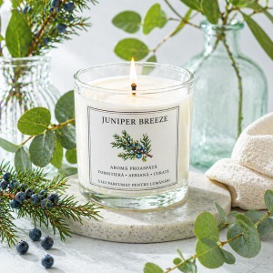 Ulei Parfumat Juniper Breeze – Aromă proaspăt forestier aerian curat | Lumânări, Difuzoare & Săpunuri | Erfello
