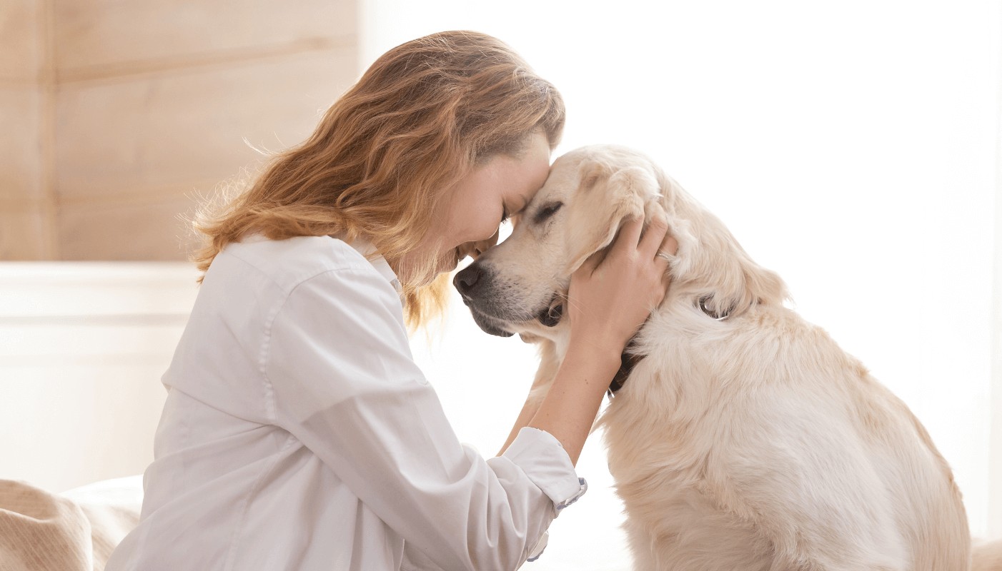 Terapie cu animale de companie - Cum ne ajută animalele la combaterea anxietății și a depresiei