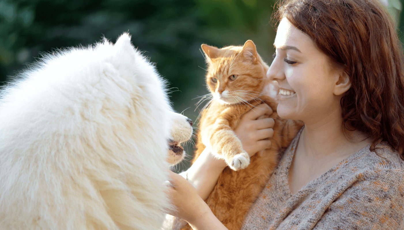 5 semne că animalul tău are nevoie de mai multă atenție și interacțiune
