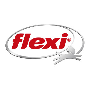 Flexi Bogdahn International GmbH & Co. KG