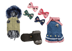Hainute | Incaltaminte | Accesorii