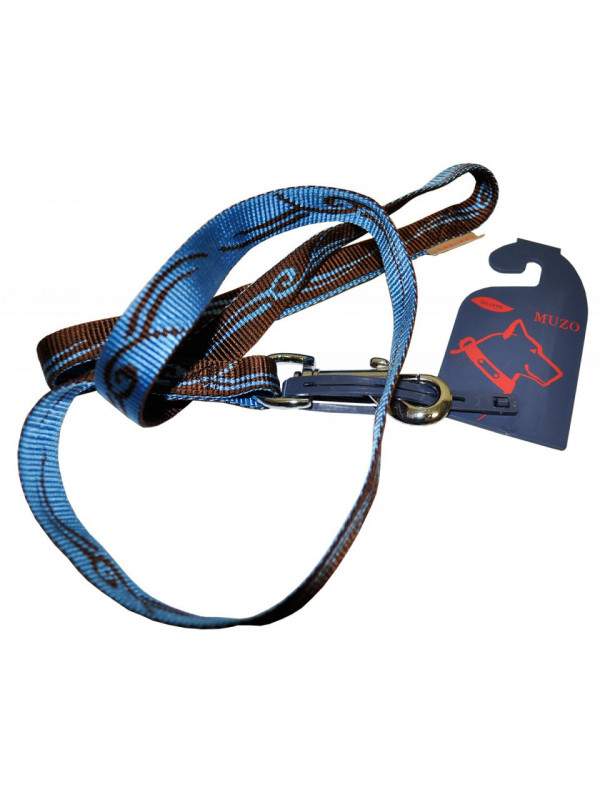 Lesa nylon Jacq - maro, albastru - 2cmx0.75m