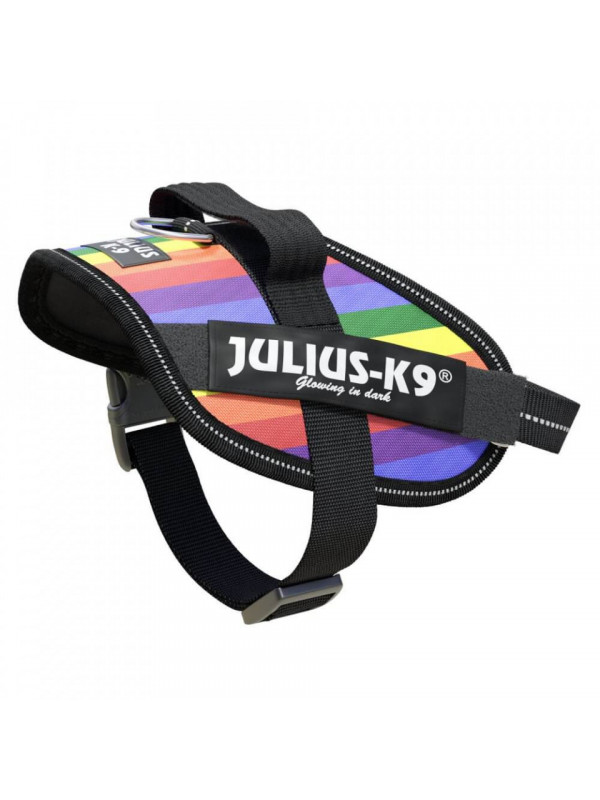Ham JK9 IDC Power - XS - Curcubeu