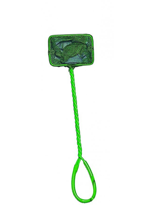 Minciog acvariu, verde, mic