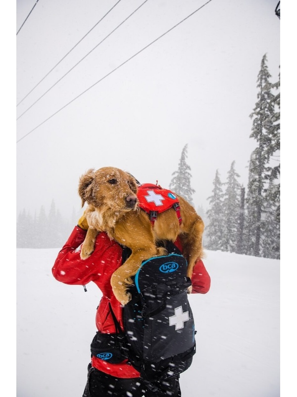 Ham Web Master Ruffwear - M - Red Sumac