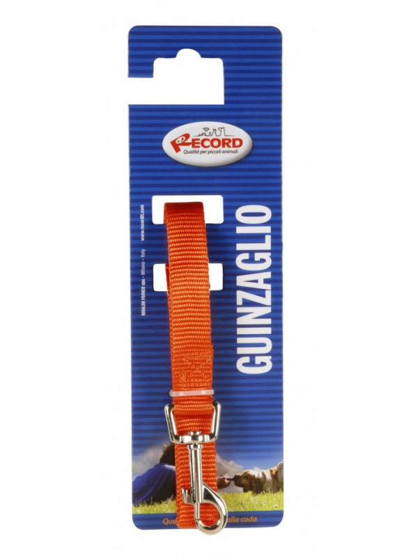 Lesa simpla nylon - 2.0cmx100cm