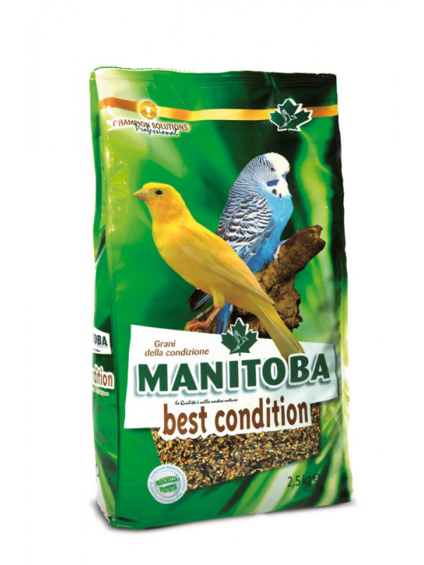 Manitoba Best Condition - Hrana completa pentru canari, pasari autohtone - 2.5kg